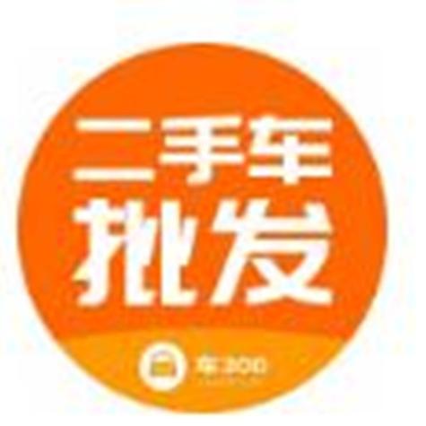 车300二手车App官方截图