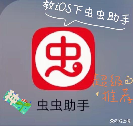 虫虫助手最新版下载截图