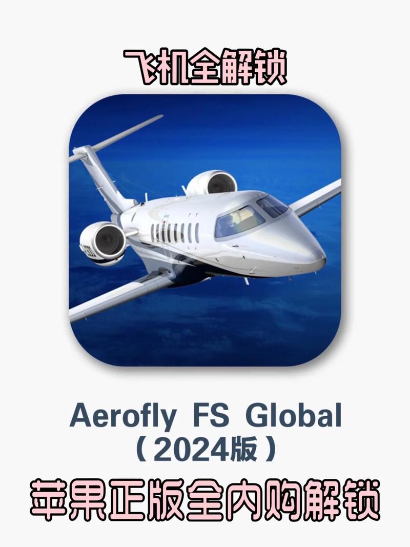 af2024飞行模拟器截图