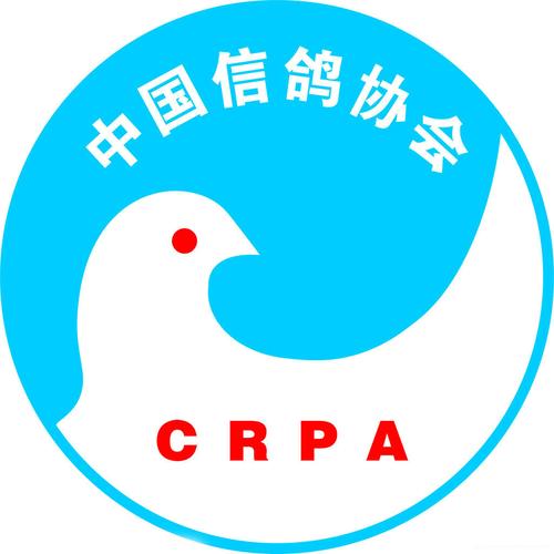 中鸽网截图
