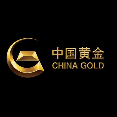 黄金拉力截图