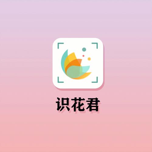 识花君截图
