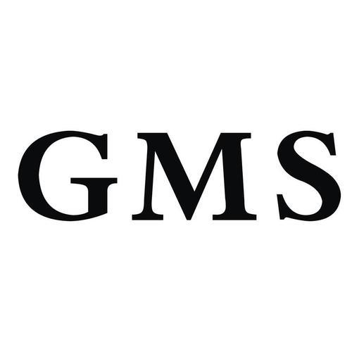 gms截图