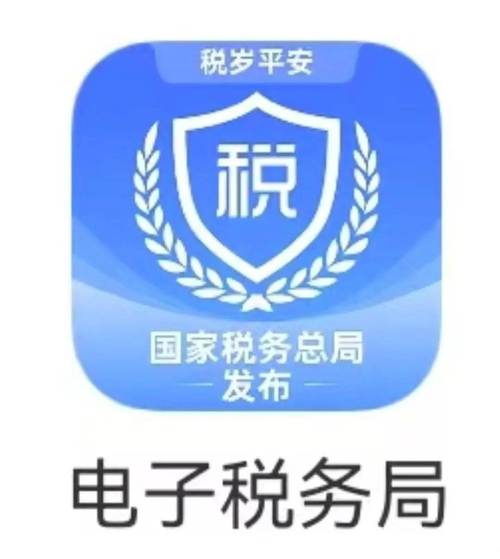 电子税务局app下载最新版截图