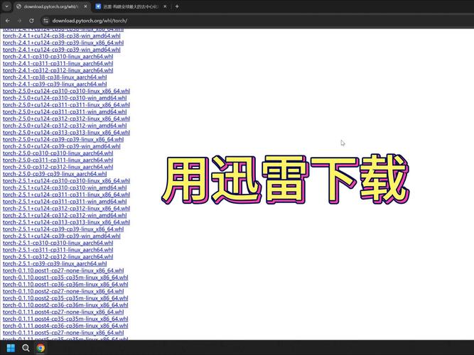 迅雷种子下载