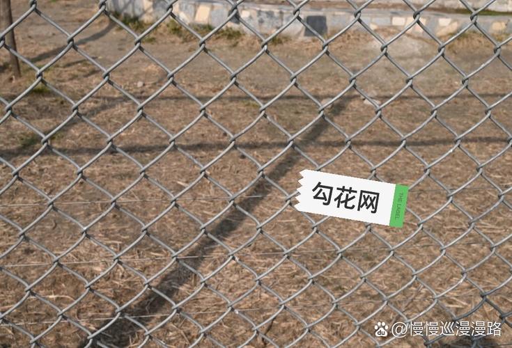落花网截图