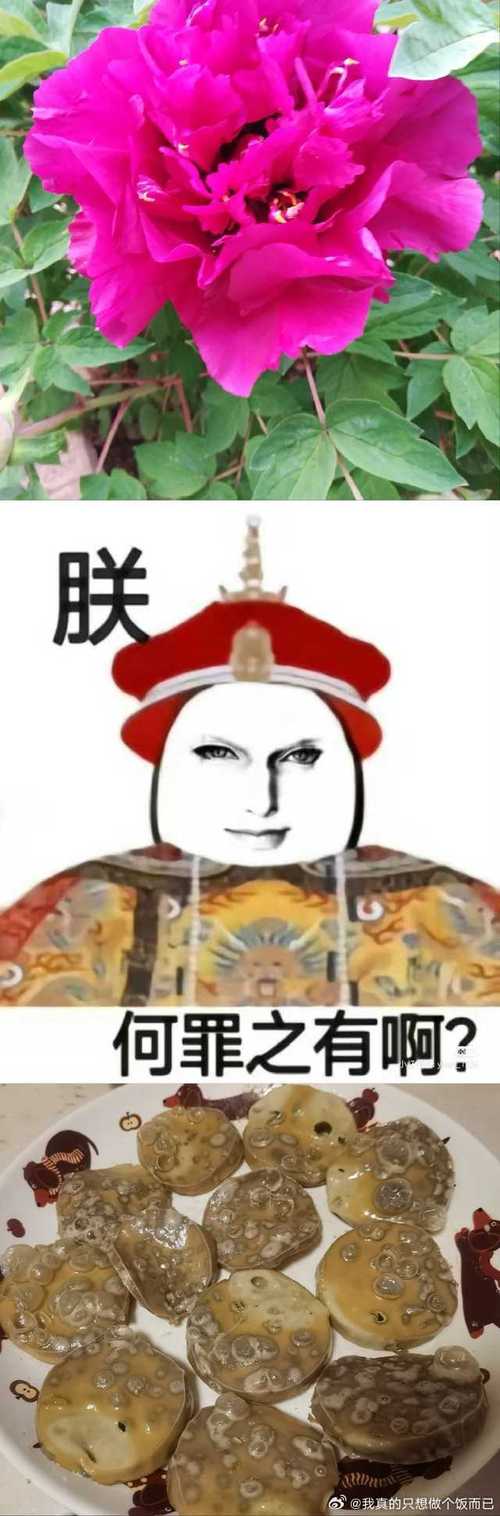 疯批太子他嗜娇如命截图