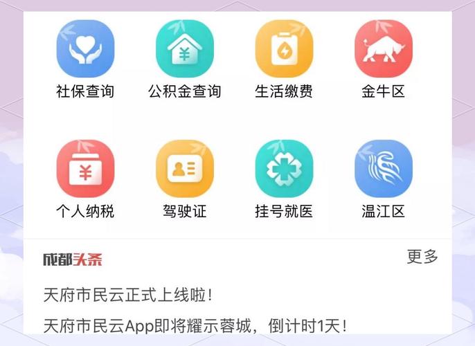 天府市民云app图标