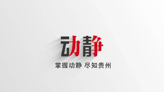 动静贵州app安装