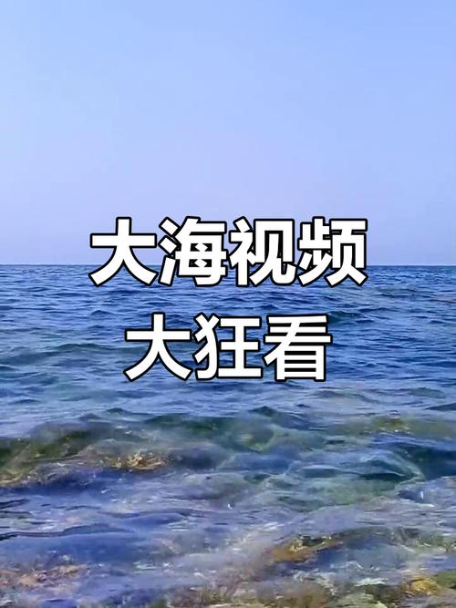 大海视频免广告版安装