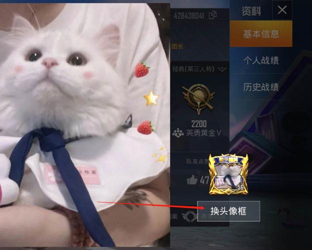 和平精英如何换头像照片和平精英更换头像照片方法介绍截图