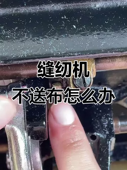 缝纫机送布牙不动不走怎么回事截图