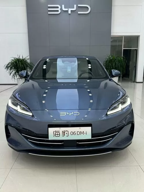 海豹06dmi128km充满几度电截图