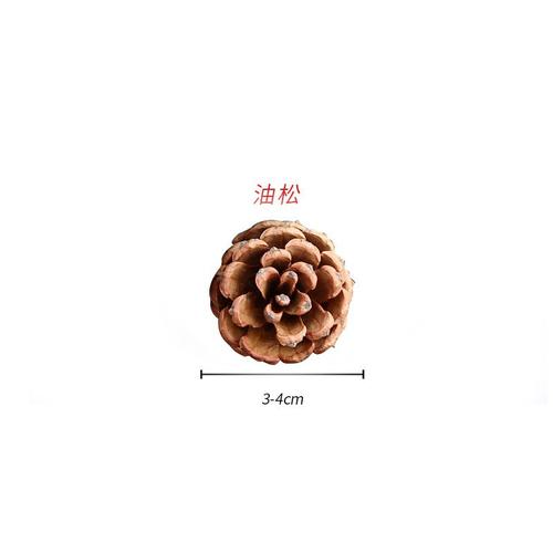小说主角小松果缩略图