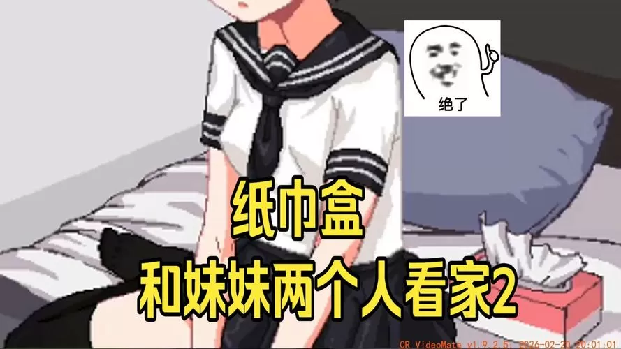 我和妹妹看家二纸巾盒游戏