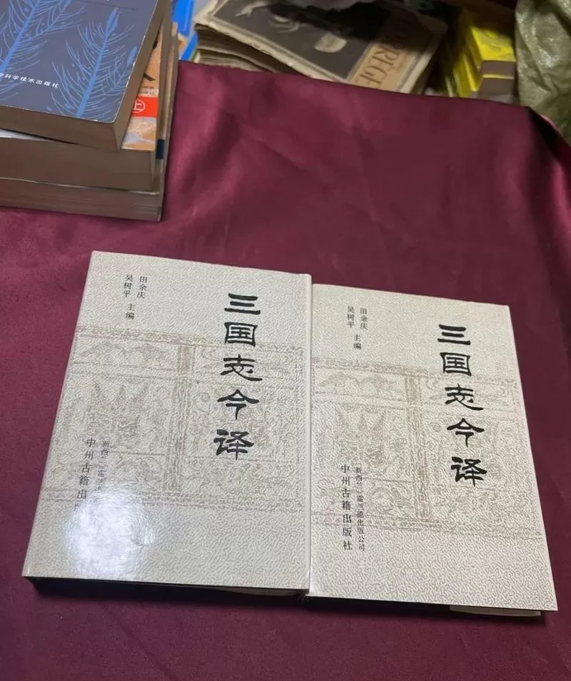三国发展工业的小说截图