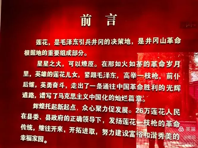 寻访红色足迹观后感作文截图