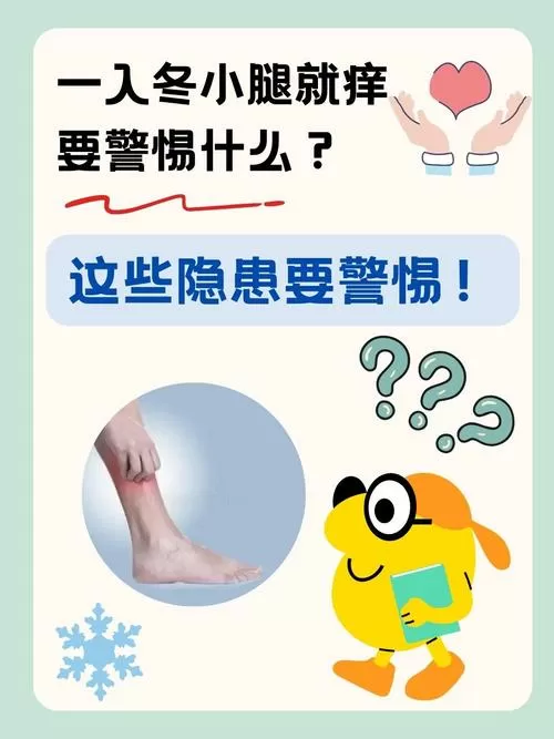 穿袜子的小腿痒得很怎么办截图
