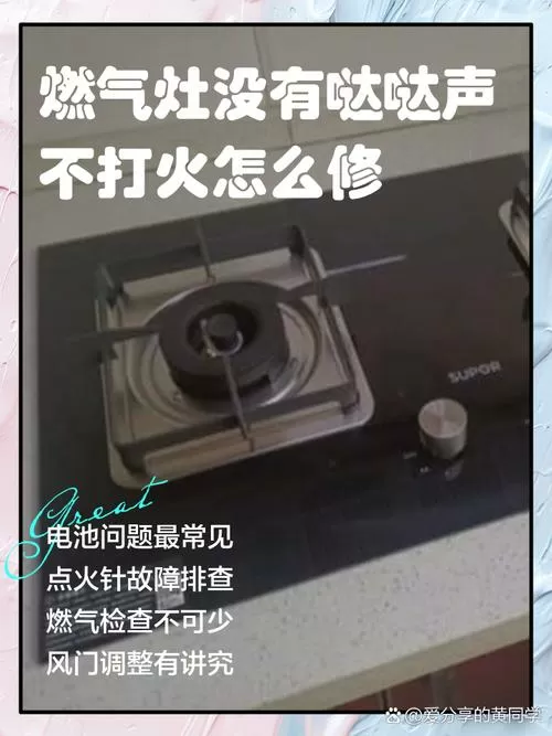 燃气灶一边有火花另一边没火花游戏截图