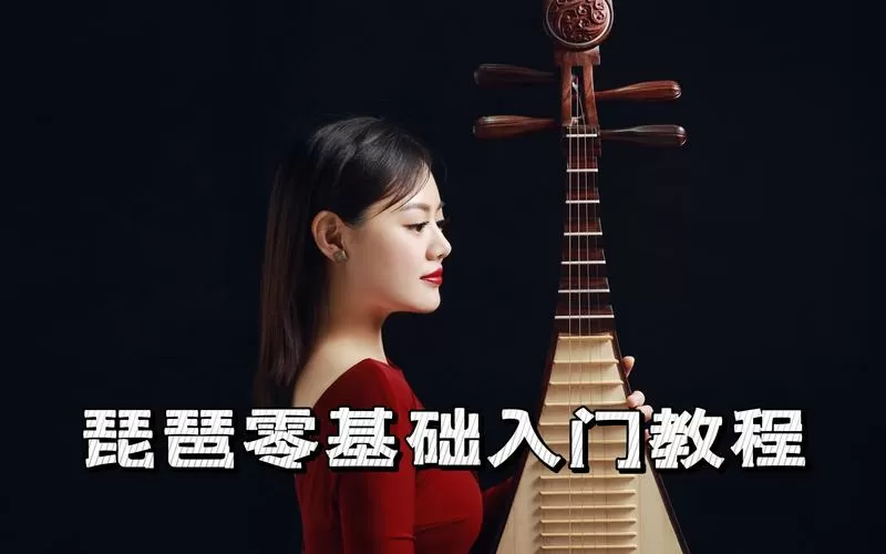 琵琶教学视频游戏截图