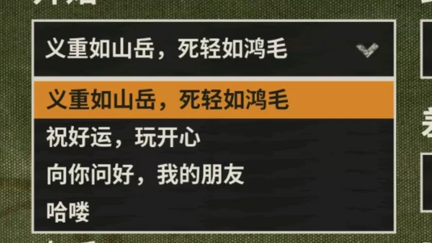 骂人吊毛是什么意思游戏截图